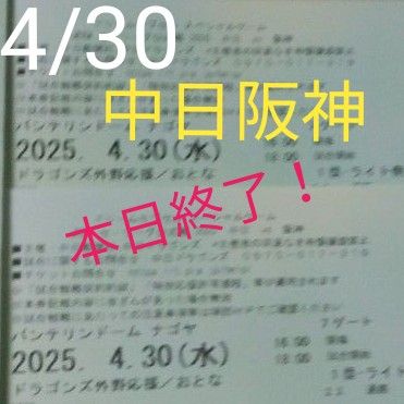 中日対阪神戦 ペアチケット2025年4月30日 バンテリンドーム 中日対阪神戦 ペアチケット2025年4月30日 バンテリンドーム