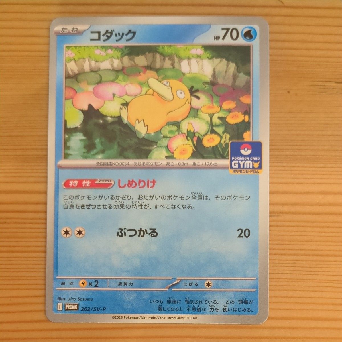 ポケモンカードゲーム コダック しめりけ|Yahoo!フリマ(旧 ポケモンカードゲーム コダック しめりけ|Yahoo!フリマ(旧