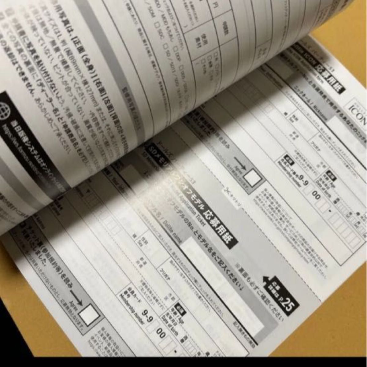 ドルパ53 ボークス ドールズパーティー 入場券 公式ガイドブック ドルパ53 ボークス ドールズパーティー 入場券 公式ガイドブック