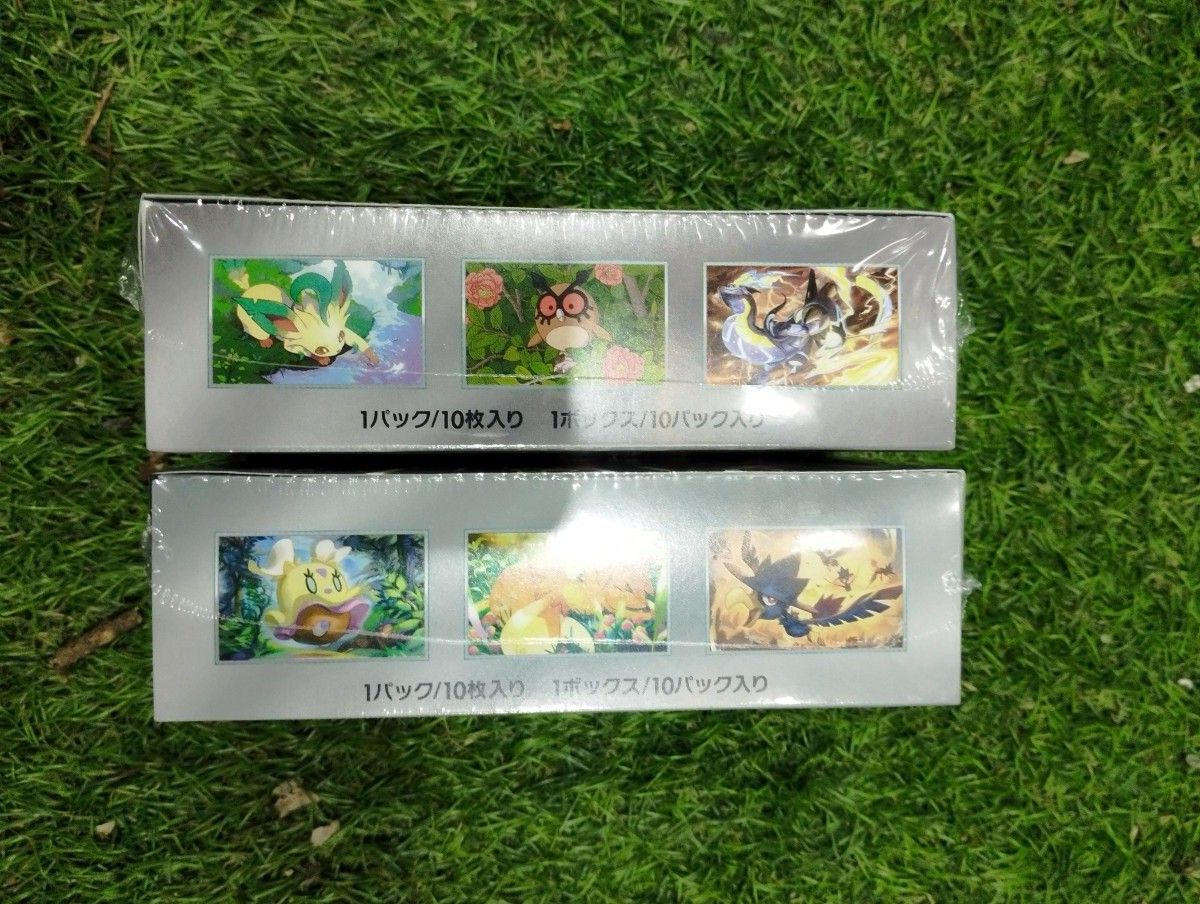 ポケモンカード テラスタルフェスex シャイニートレジャーex ポケモンカード テラスタルフェスex シャイニートレジャーex