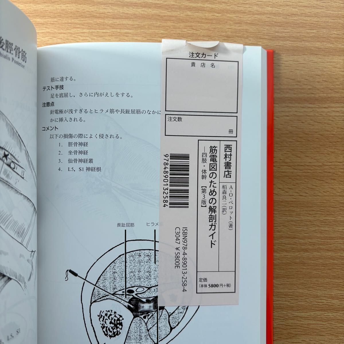 筋電図のための解剖ガイド 四肢・体幹 第3版|Yahoo!フリマ(旧 筋電図のための解剖ガイド 四肢・体幹 第3版|Yahoo!フリマ(旧