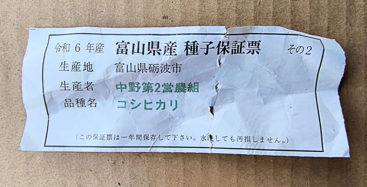 種籾 100㌘ コシヒカリ 米種子(消毒済み)|Yahoo!フリマ(旧 種籾 100㌘ コシヒカリ 米種子(消毒済み)|Yahoo!フリマ(旧