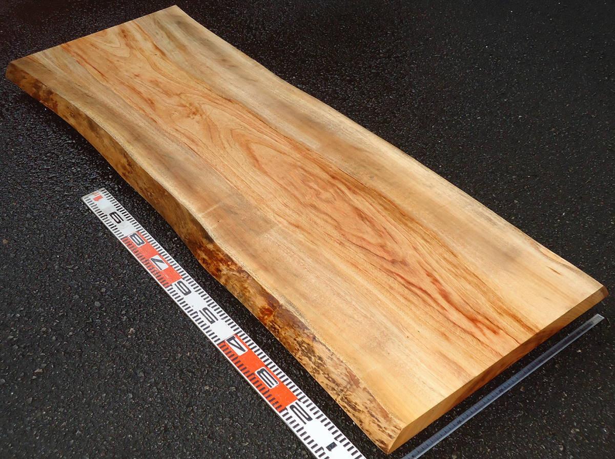  camphor tree, both sides less .. kind color tone,. eyes . beautiful! wide width . ear attaching processing board 
