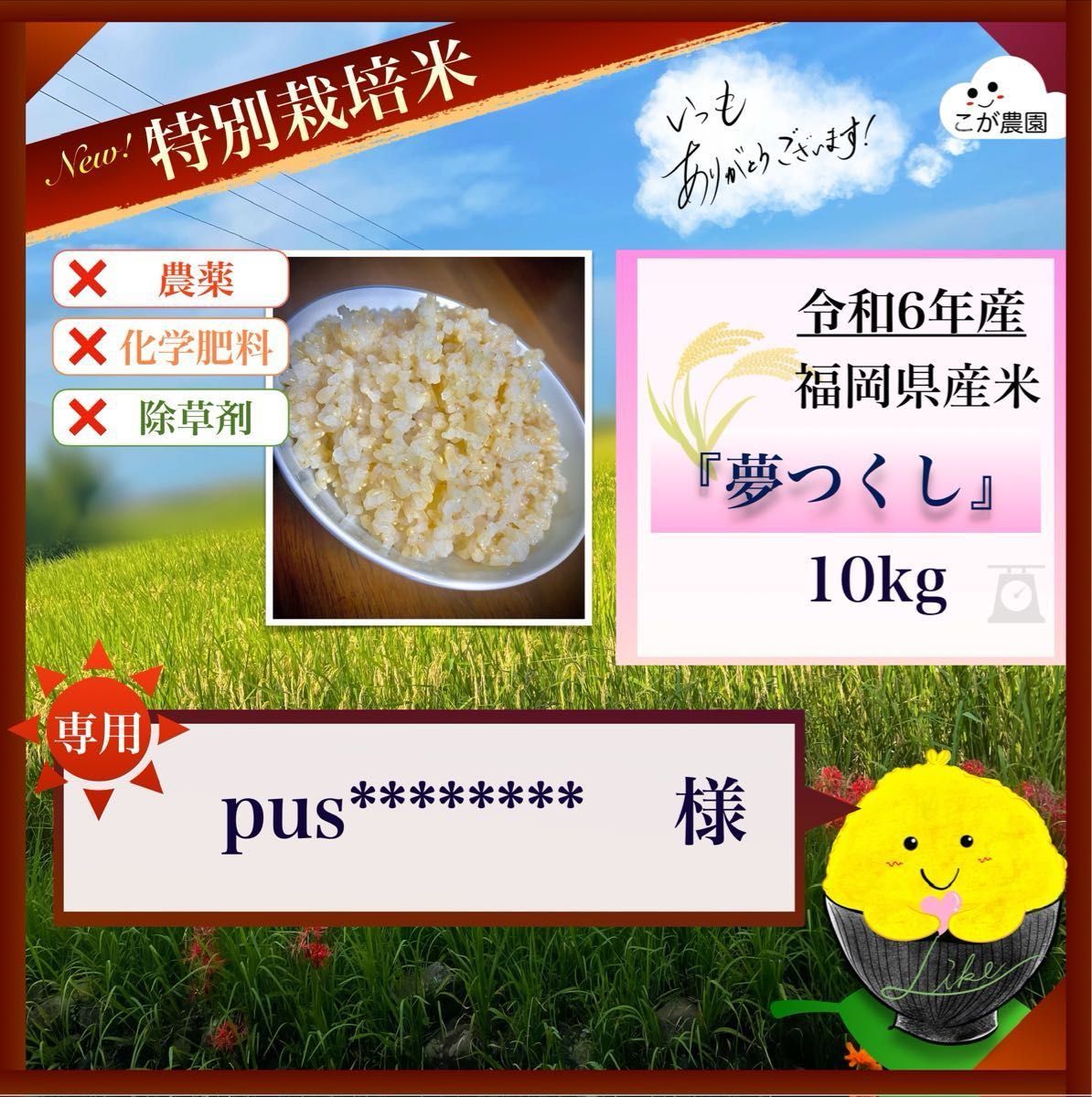 pus 様専用商品 福岡県産「夢つくし」令和6年産 玄米10kg|Yahoo pus 様専用商品 福岡県産「夢つくし」令和6年産 玄米10kg|Yahoo