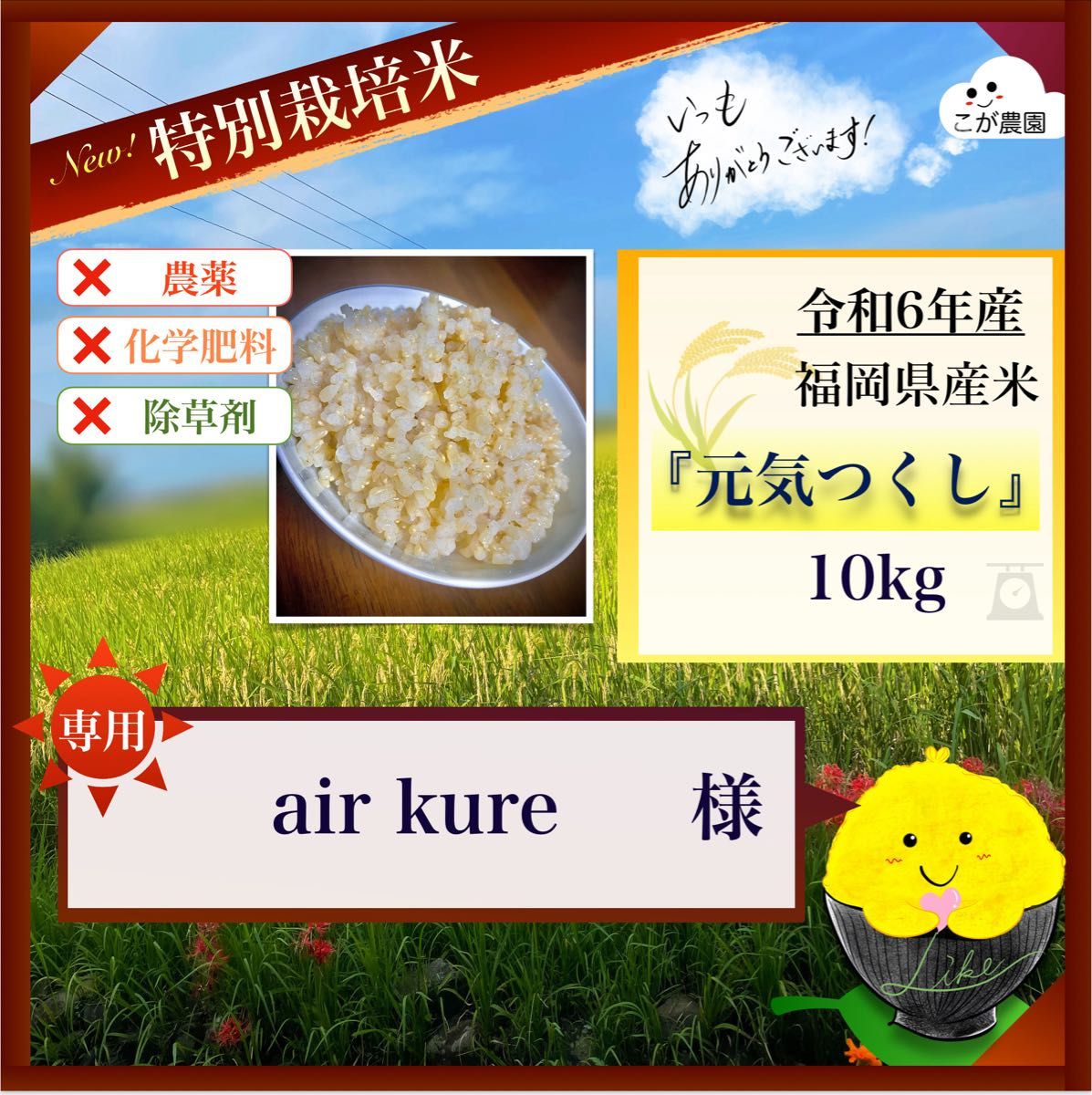 air kure様専用商品 準自然米 福岡県産「元気つくし」令和6年産 air kure様専用商品 準自然米 福岡県産「元気つくし」令和6年産