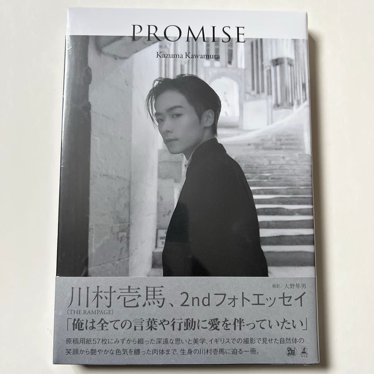 THE RAMPAGE 川村壱馬 2ndフォトエッセイ『PROMISE』 新品未開封 THE RAMPAGE 川村壱馬 2ndフォトエッセイ『PROMISE』 新品未開封