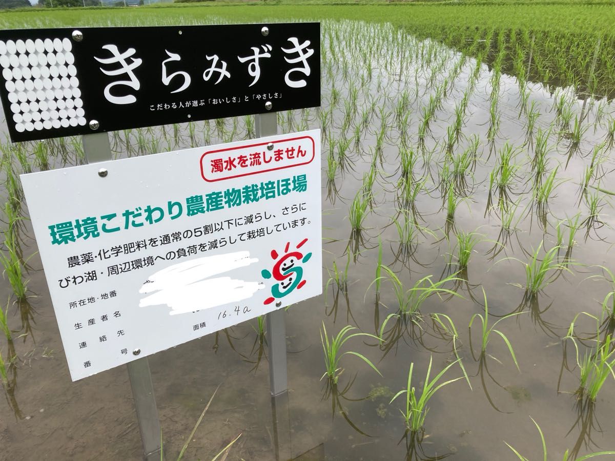 玄米発送 新品種 特別栽培 有機栽培 きらみずき 減農薬栽培-90 玄米発送 新品種 特別栽培 有機栽培 きらみずき 減農薬栽培-90
