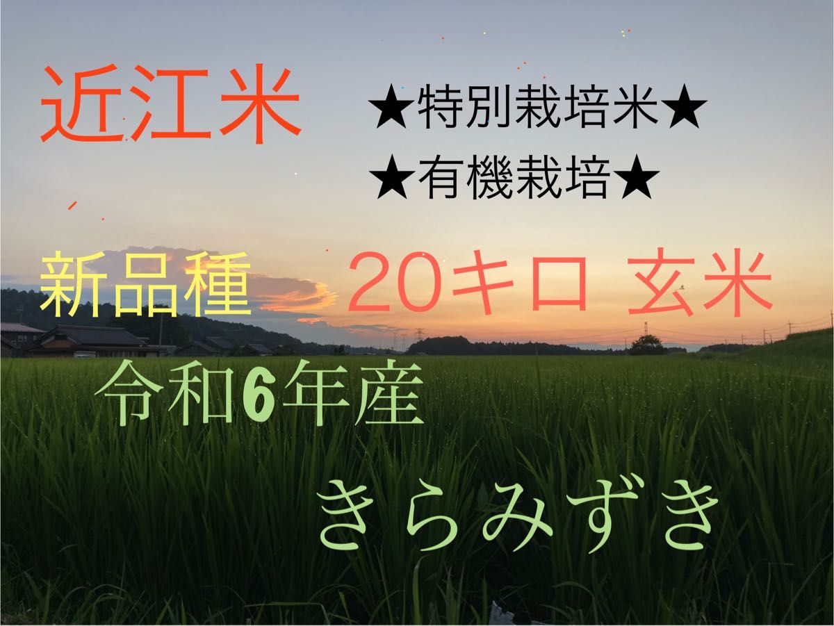 玄米発送 新品種 特別栽培 有機栽培 きらみずき 減農薬栽培-90 玄米発送 新品種 特別栽培 有機栽培 きらみずき 減農薬栽培-90