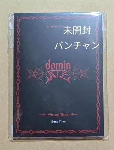 Stray Kids dominATE ポストカードブック 未開封 バンチャン Stray Kids dominATE ポストカードブック 未開封 バンチャン