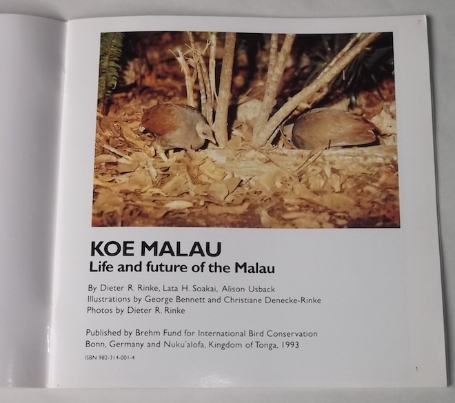 1993年 洋書 野鳥保護パンフ KOE MALAU トンガツカツクリ 島嶼 固有種 生態 保護活動 絶滅危惧 鳥類 トンガ語_画像3