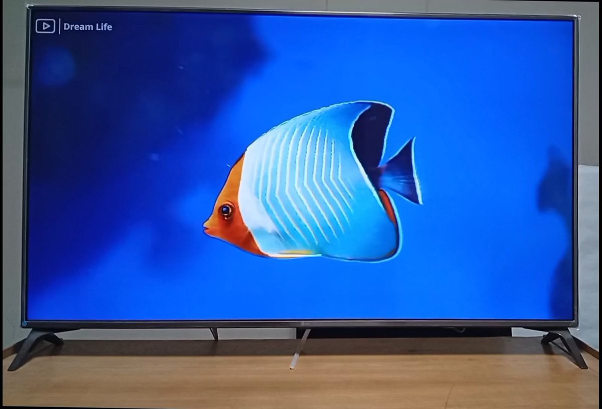 2018年製 LG製55インチ液晶TV 高画質4K