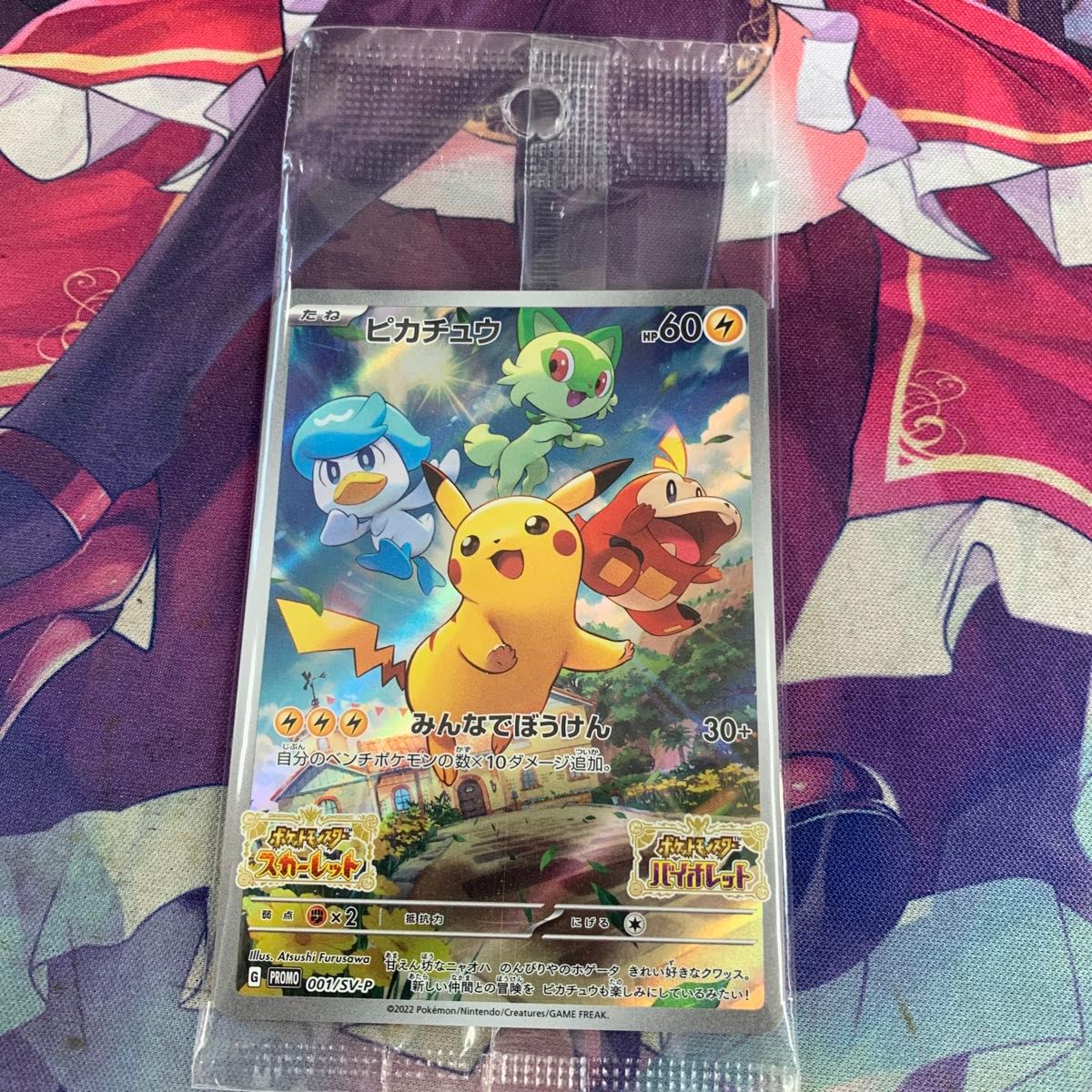 ポケモンカード プロモ ピカチュウ みんなでぼうけん 未開封品 ポケモンカード プロモ ピカチュウ みんなでぼうけん 未開封品