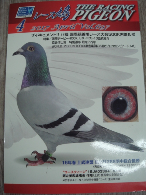 ヤフオク 3 レース鳩 17 4 八郷国際親善鳩レース大会50