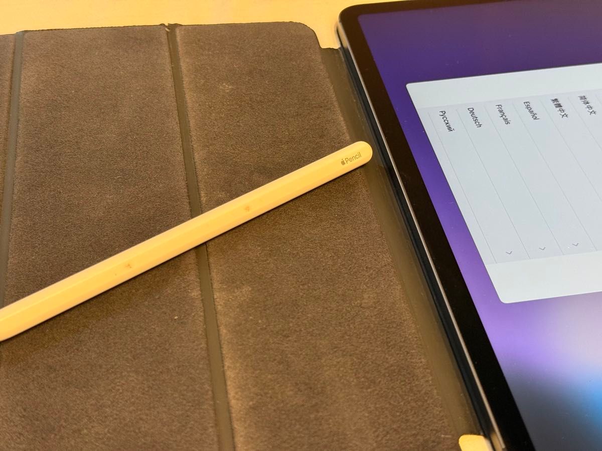 iPadPro11インチ 第3世代 256GB セルラーモデル キーボード ペン iPadPro11インチ 第3世代 256GB セルラーモデル キーボード ペン