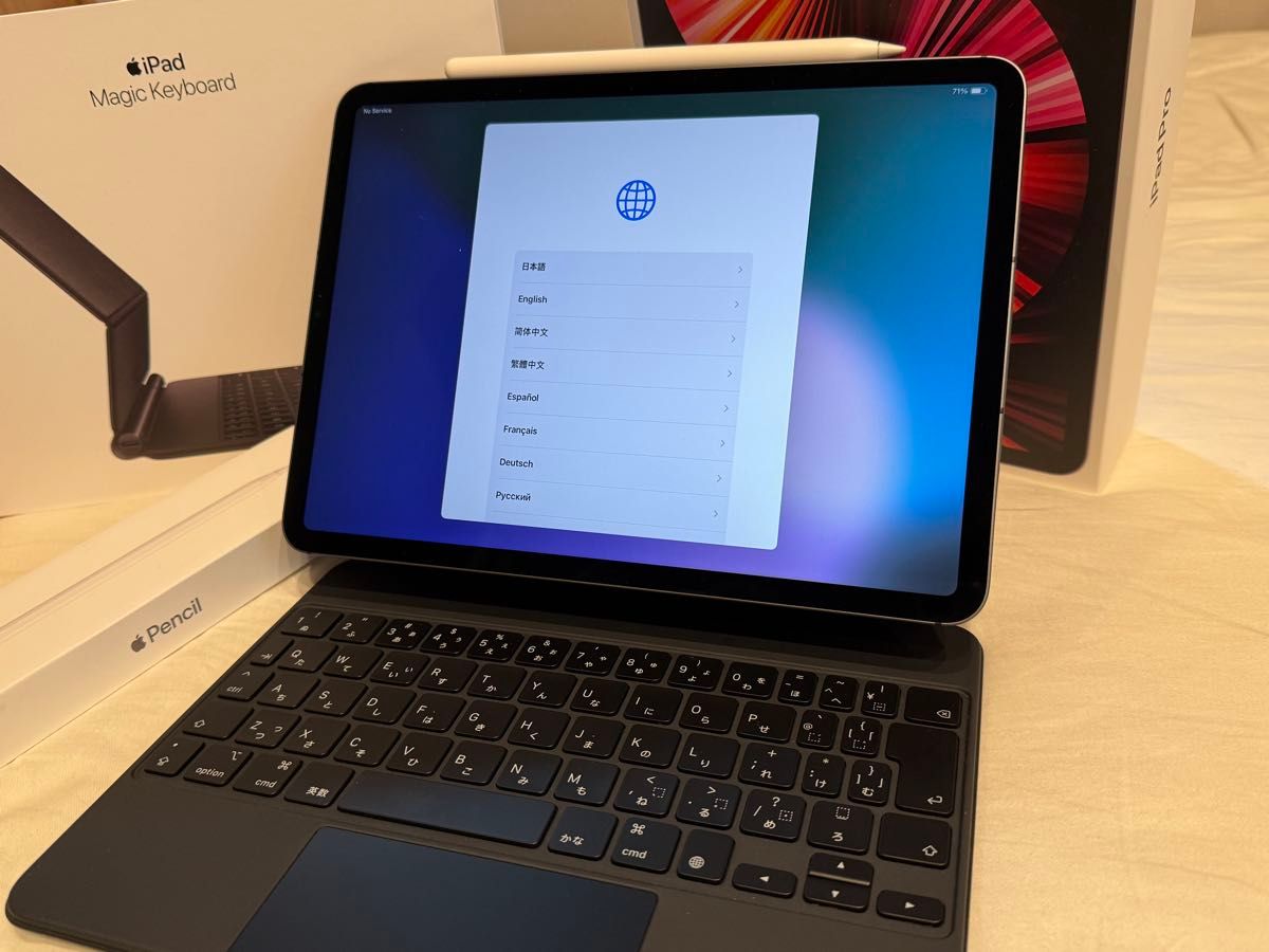 iPadPro11インチ 第3世代 256GB セルラーモデル キーボード ペン iPadPro11インチ 第3世代 256GB セルラーモデル キーボード ペン