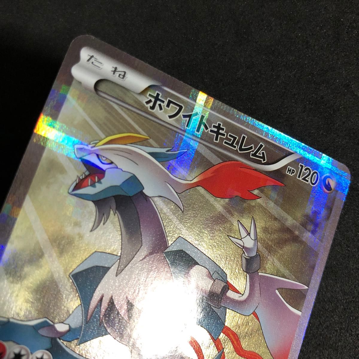1 ポケモンカード ホワイトキュレム ブラックキュレム CP2 1 ポケモンカード ホワイトキュレム ブラックキュレム CP2