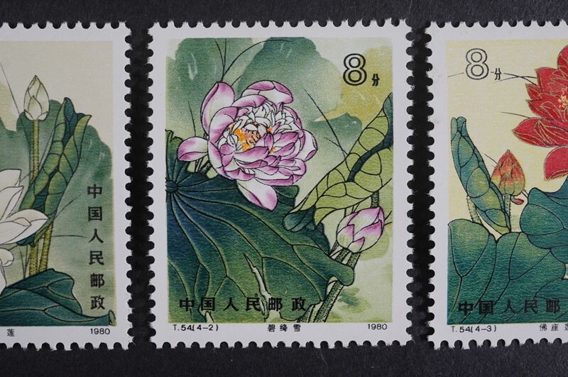 501)コレクター放出品!中国切手 1980年 T54 蓮の花 4種完 未使用 501)コレクター放出品!中国切手 1980年 T54 蓮の花 4種完 未使用
