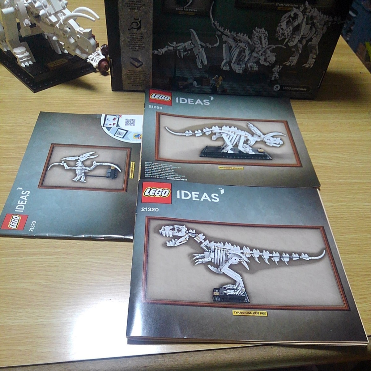 レゴ(LEGO) アイデア 恐竜の化石 21320 １度組み立て新品同様美品
