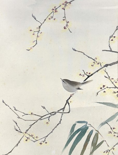 CH2642 平福百穂 古梅 掛軸 大日本絵画 h4404z【真作】平福百穂「梅鶯図」掛軸 絹本 肉筆 花鳥図 鳥獣