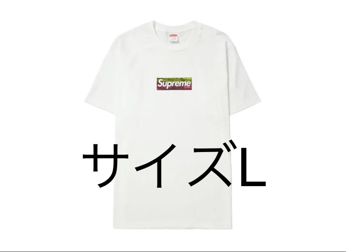 Supreme Los Angeles Fire Relief Box Logo Tee Supreme Los Angeles Fire Relief Box Logo Tee