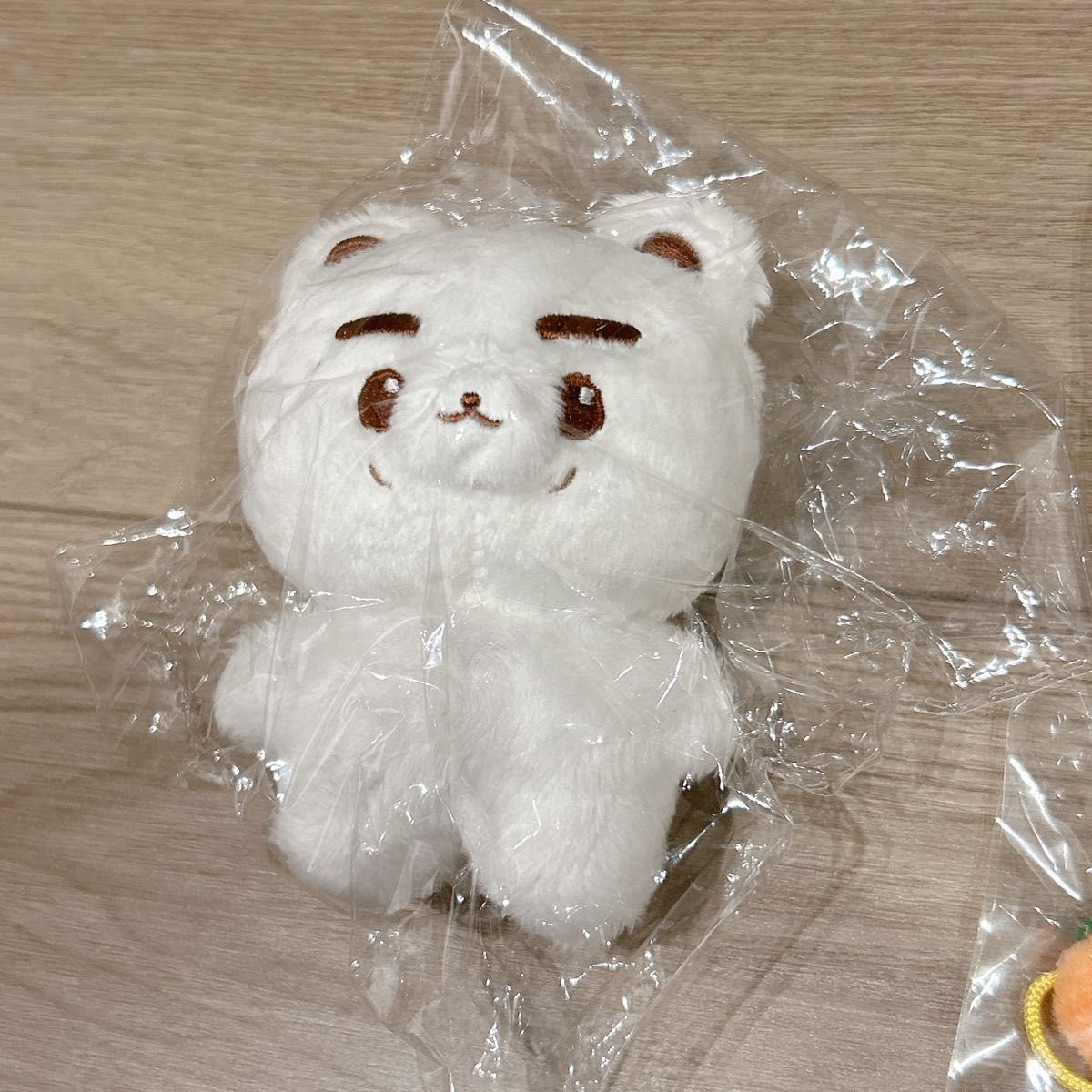 WayV 威神V クン KUN マスター ぬいぐるみ クニベア ホワイト WayV 威神V クン KUN マスター ぬいぐるみ クニベア ホワイト