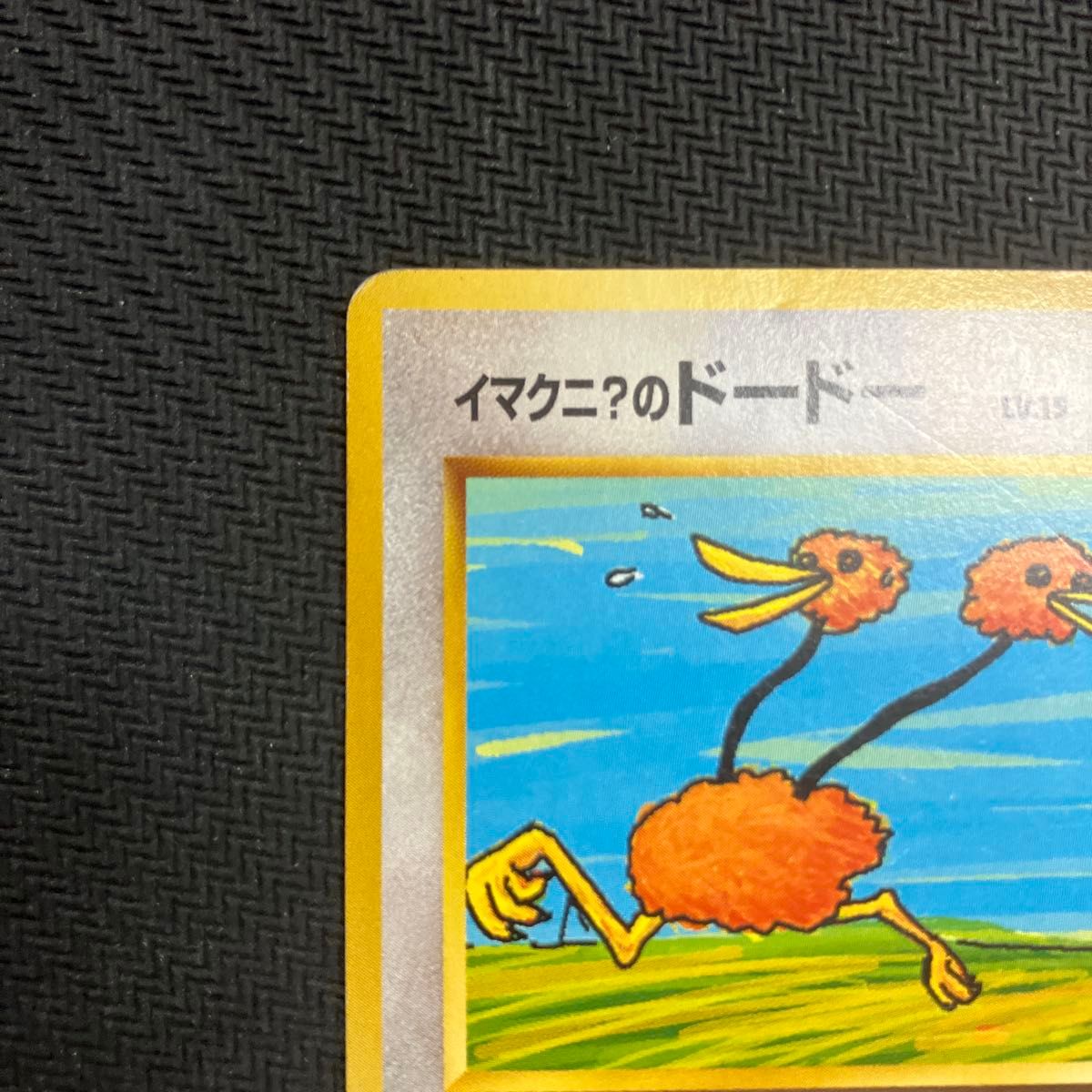 ポケモンカード イマクニ のドードー No 084|Yahoo!フリマ(旧 ポケモンカード イマクニ のドードー No 084|Yahoo!フリマ(旧