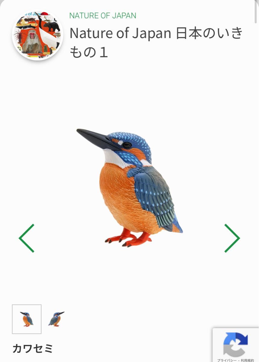 日本のいきもの カワセミ Nature of Japan ガチャ ネイチャー 日本のいきもの カワセミ Nature of Japan ガチャ ネイチャー