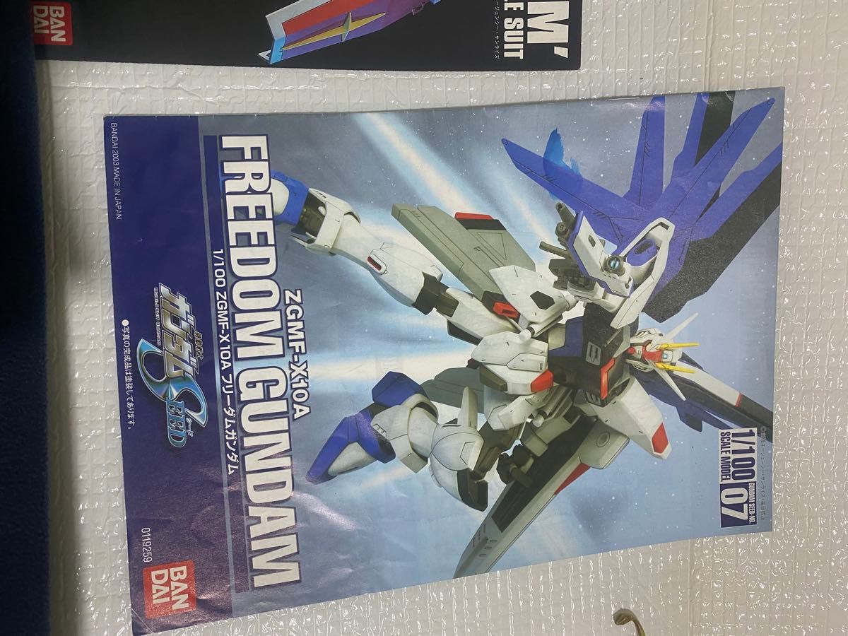 1/100 フリーダムガンダム 全塗装完成品 完成品 塗装済み完成品 1/100 フリーダムガンダム 全塗装完成品 完成品 塗装済み完成品