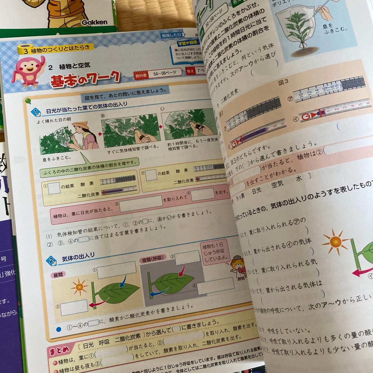 小6ドリル4冊セット理科教科書ワーク啓林館特別付録付き小学校 小6ドリル4冊セット理科教科書ワーク啓林館特別付録付き小学校