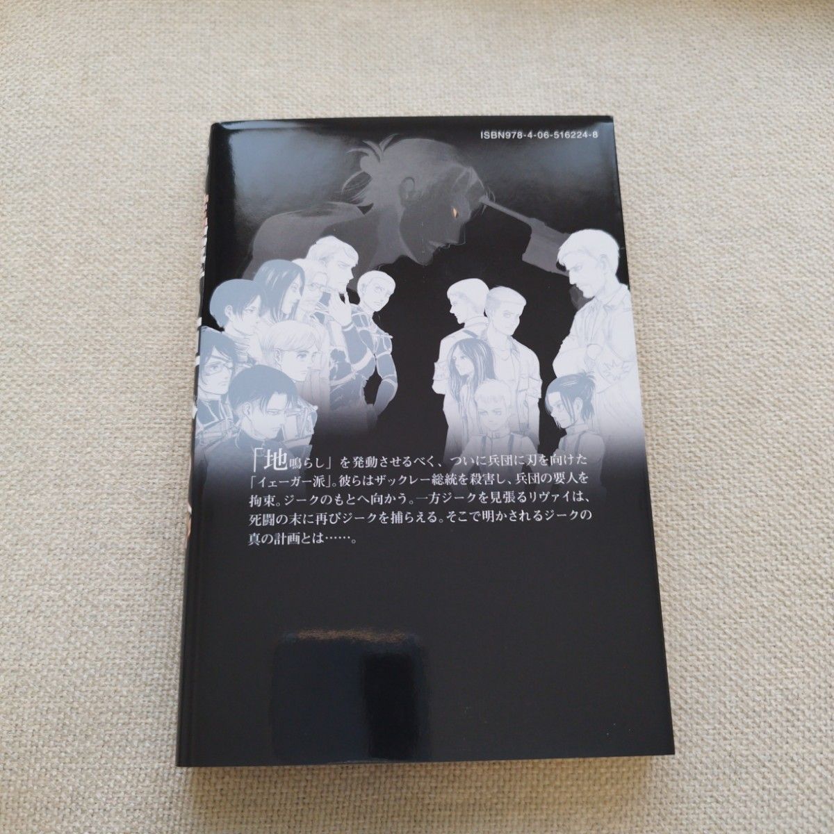 進撃の巨人 全巻セット 限定版&特装版多数 帯付き、初版多数 諫山創 進撃の巨人 最新話 進撃の巨人 1-33巻 初版多数 全巻 未完結