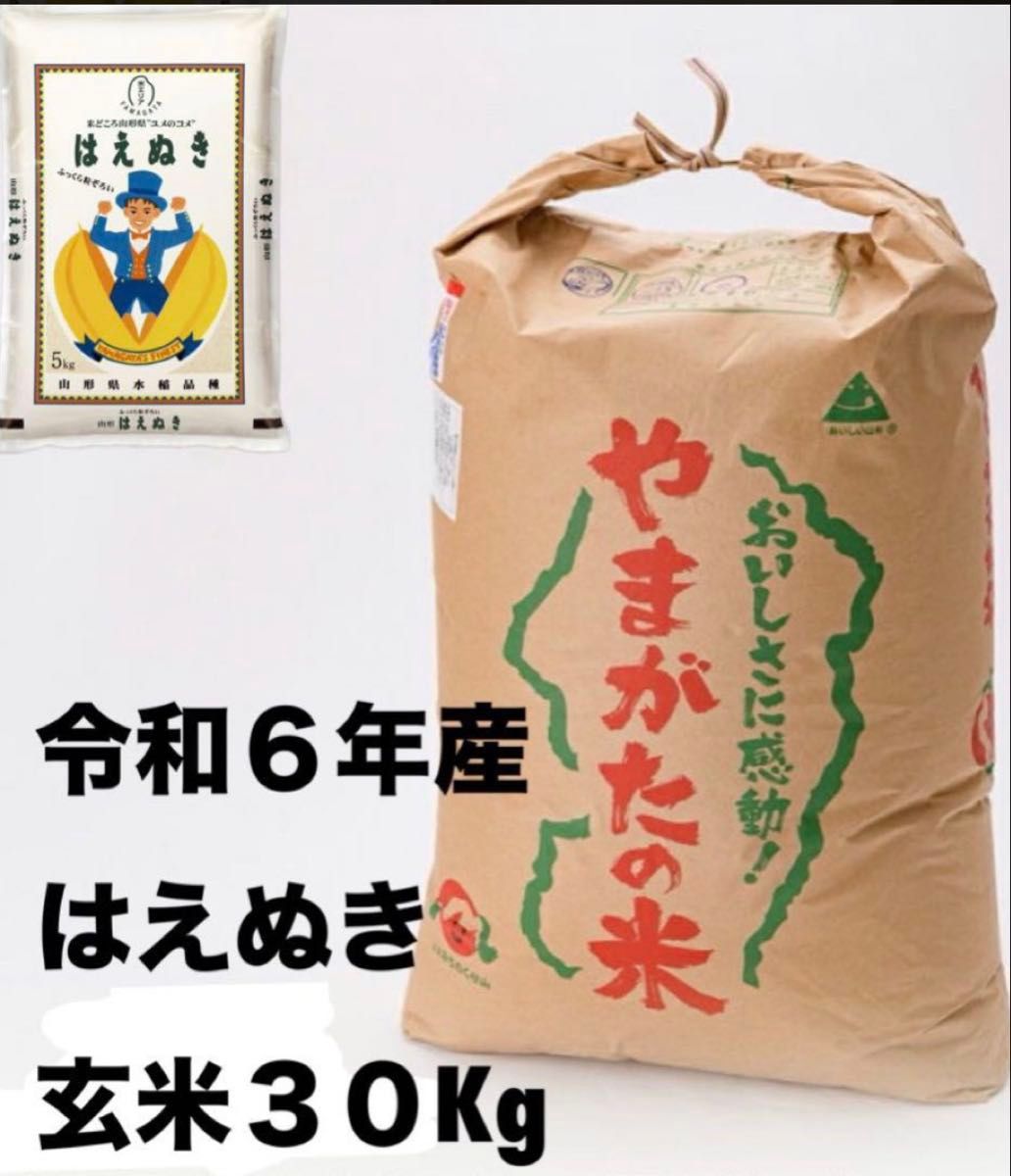 令和6年度産 山形県産はえぬき30k玄米 送料込み 値下げ不可 令和6年度産 山形県産はえぬき30k玄米 送料込み 値下げ不可