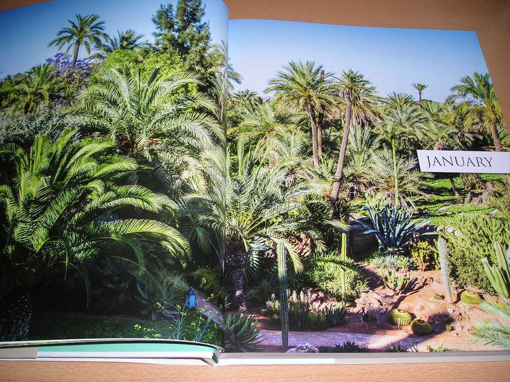 洋書・Morocco in Bloom・モロッコの壮麗な庭園と花々の記録の写真・デザイン画集_画像3