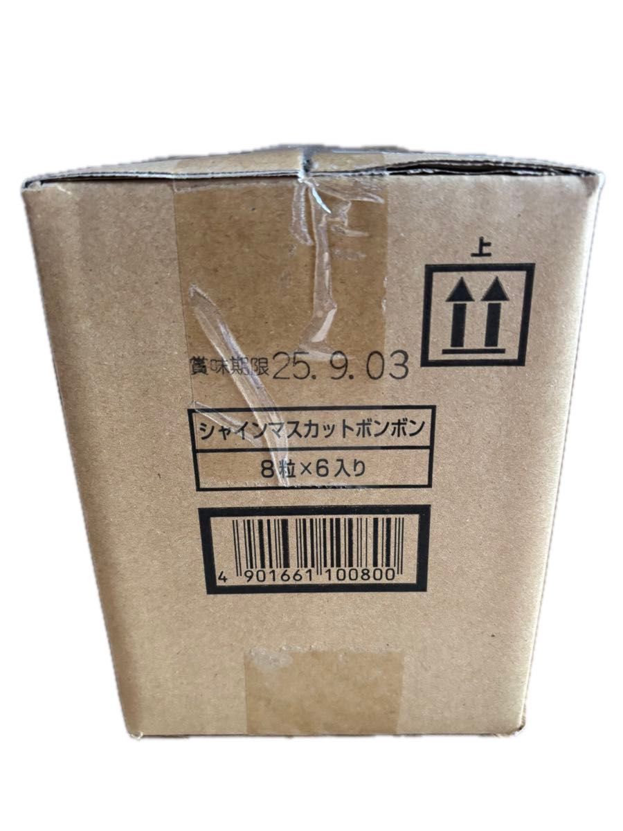 完全未開封】シャインマスカットボンボン 8粒x6袋入り 6袋/1箱 完全未開封】シャインマスカットボンボン 8粒x6袋入り 6袋/1箱