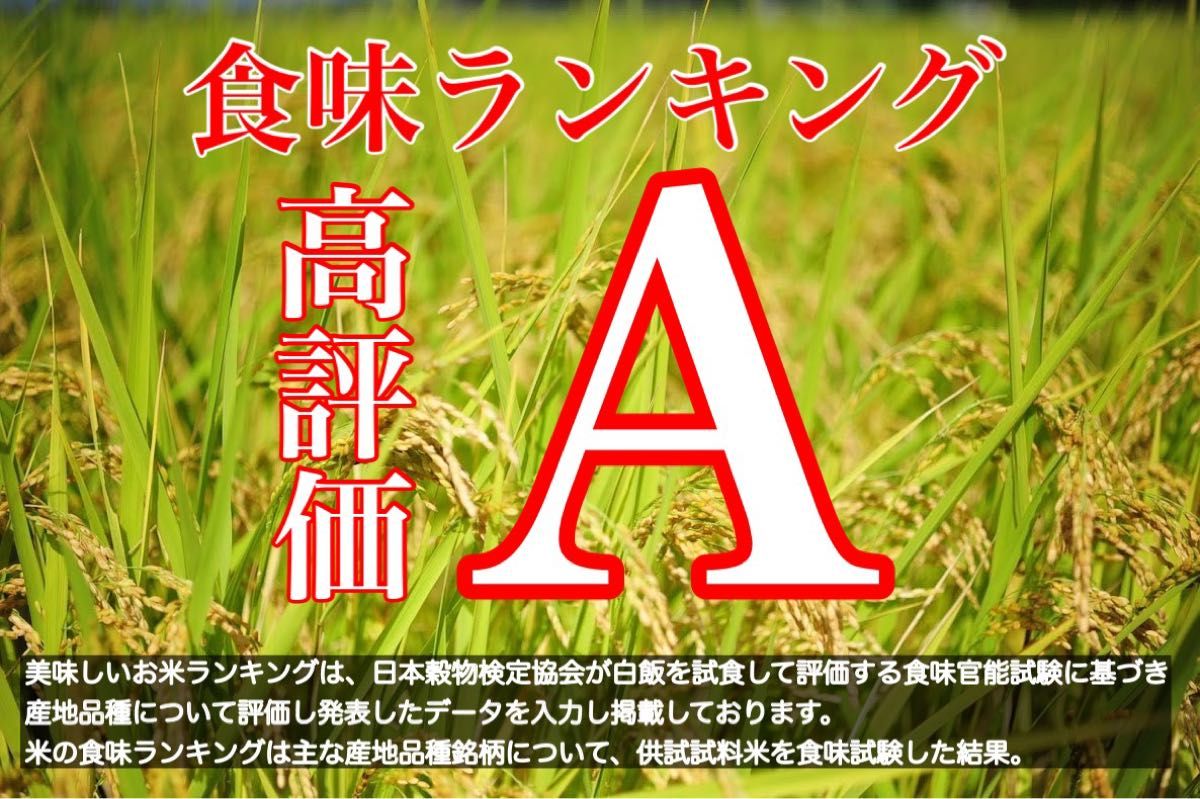 精米済み 20キロ 【農家直送 】新潟県産こしいぶき 特別栽培米 6 精米済み 20キロ 【農家直送 】新潟県産こしいぶき 特別栽培米 6