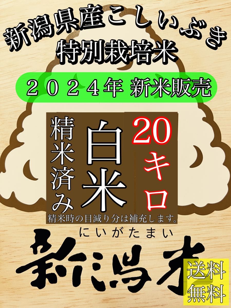精米済み 20キロ 【農家直送 】新潟県産こしいぶき 特別栽培米 6 精米済み 20キロ 【農家直送 】新潟県産こしいぶき 特別栽培米 6