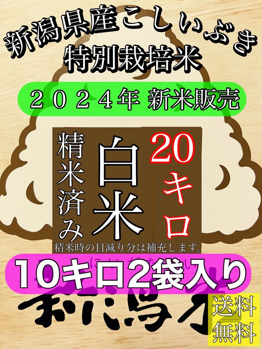 精米済み 10キロ2袋入り 【農家直送 】新潟県産こしいぶき 特別 精米済み 10キロ2袋入り 【農家直送 】新潟県産こしいぶき 特別