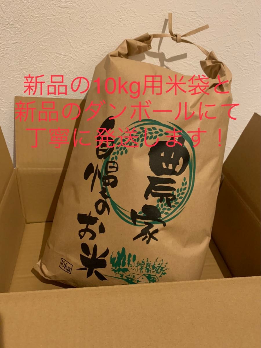 精米済み 10キロ2袋入り 【農家直送 】新潟県産こしいぶき 特別 精米済み 10キロ2袋入り 【農家直送 】新潟県産こしいぶき 特別