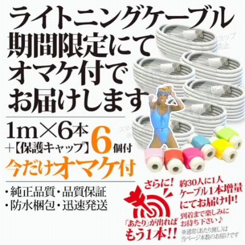 iPhone USB充電器 ライトニングケーブル 1m アップルApple純正品質 TypeAタイプA Lightningケーブル