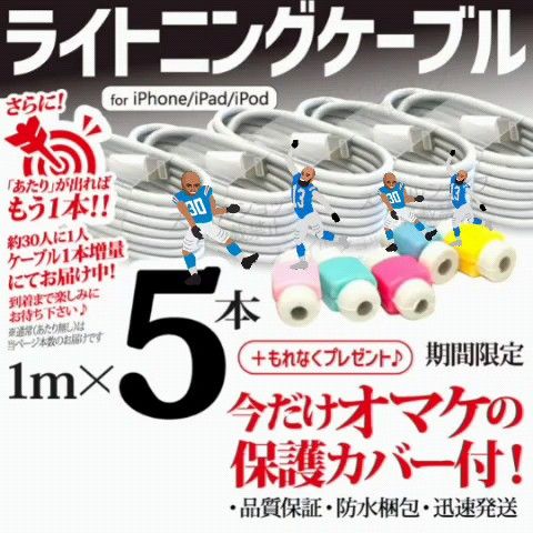 USB充電器iPhoneライトニングケーブル 1m 5本 アップルApple純正品互換 タイプA Type-A データ転送ケーブル
