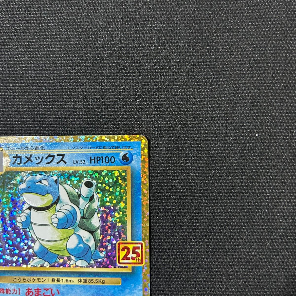 ポケモン カメックス プロモカードパック 25th ANNIVERSARY ポケモン カメックス プロモカードパック 25th ANNIVERSARY