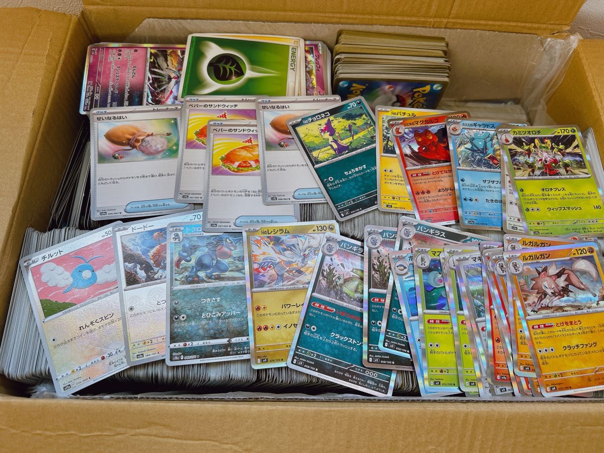ポケモンカード まとめ売り ノーマル サポート Rカード|Yahoo ポケモンカード まとめ売り ノーマル サポート Rカード|Yahoo