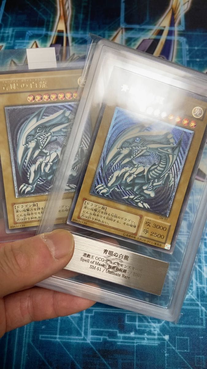 遊戯王 ブラック・ローズ・ドラゴン ホログラフィックレア CSOC 遊戯王 ブラック・ローズ・ドラゴン ホログラフィックレア CSOC