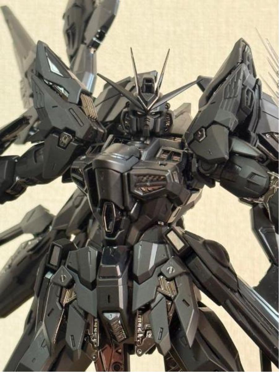 最低です MGEXサイズ1/100ストライクフリダムガンダムブラック色 最低です MGEXサイズ1/100ストライクフリダムガンダムブラック色