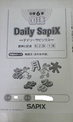 サピックス ＳＡＰＩＸ＊デイリー サピックス＊６年 小６＊国語 Ｂ＊読解と記述／全３８回 完全版＊２０１９年._画像2