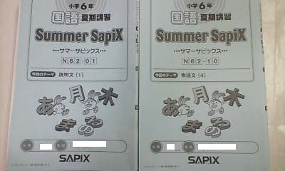 サピックス ＳＡＰＩＸ サマー サピックス 夏期講習 小６ ６年 国語