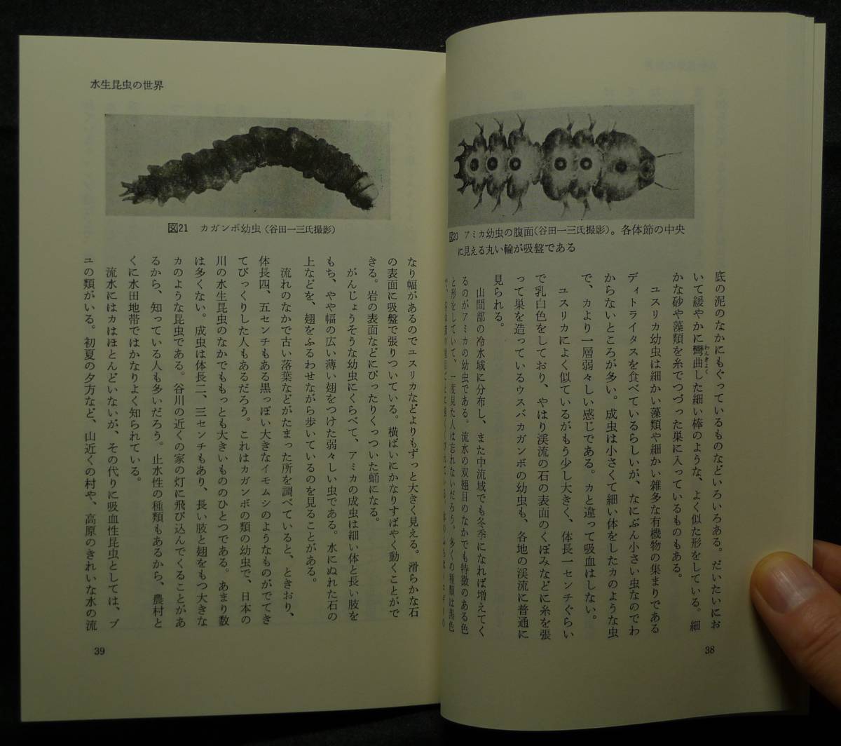 [ super rare ][ new goods average beautiful goods ] secondhand book aquatic insect. world . water. raw . Tokai science selection of books author : large . dragon one Tokai university publish .