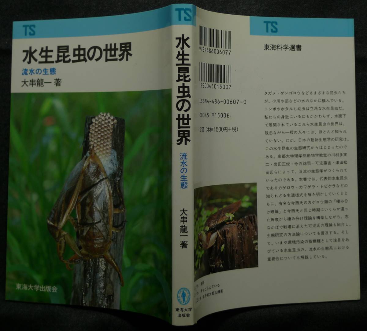 [ super rare ][ new goods average beautiful goods ] secondhand book aquatic insect. world . water. raw . Tokai science selection of books author : large . dragon one Tokai university publish .