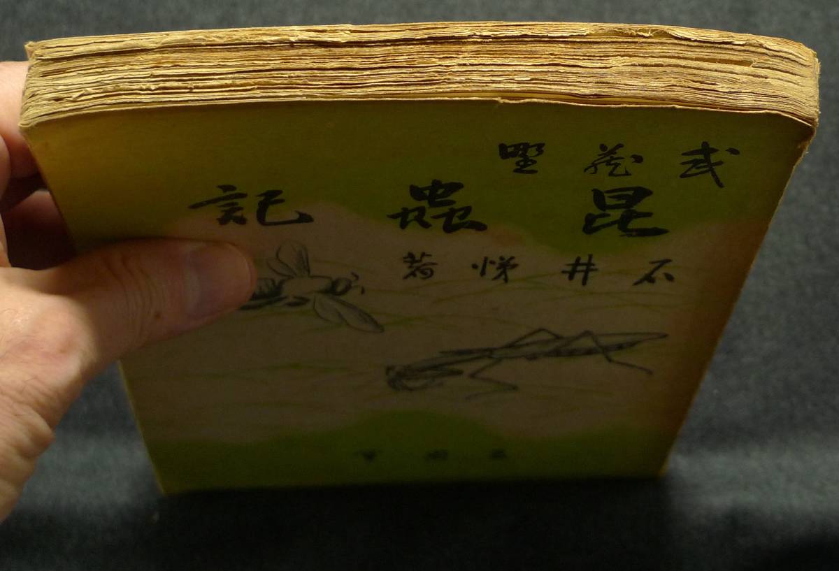 【超希少、古書】　武蔵野　昆蟲記　著者：石井悌　（株）三省堂_画像8