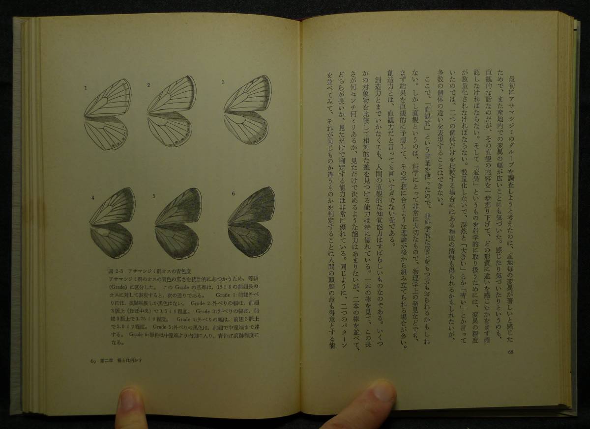 [ super rare ][ beautiful goods ] secondhand book butterfly. . author : wistaria hill . Hara ( stock ) Kawade bookstore new company 