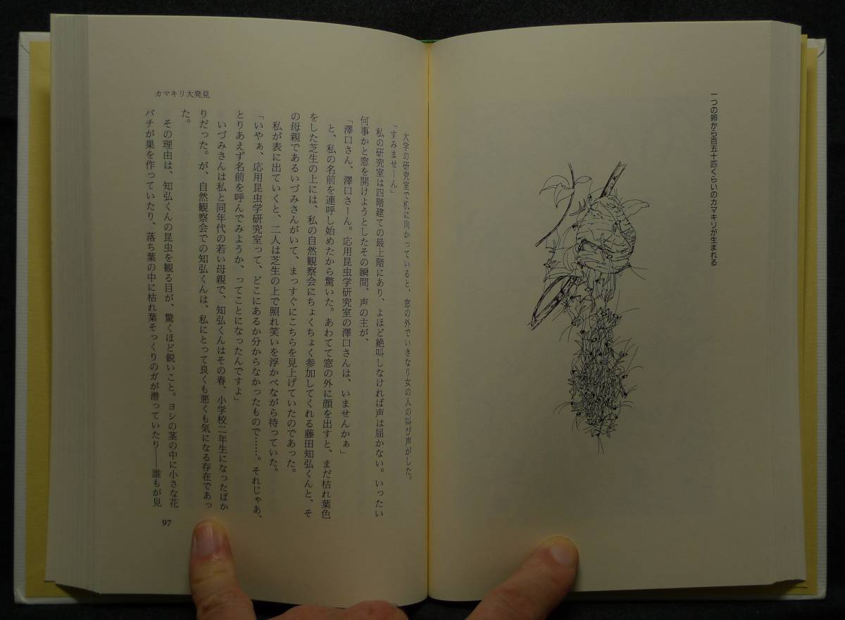 [ супер редкий ][ первая версия, новый товар средний прекрасный товар ] старая книга Kirakira свет .., красивый насекомое ... . близко . рассказ автор :.. Tama .( АО ) добродетель промежуток книжный магазин 